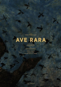 Ave Rara