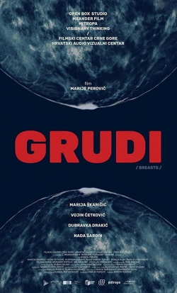 Grudi