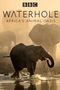 Waterhole: Africa's Animal Oasis