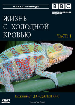 BBC: Жизнь с холодной кровью